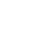 Api Service SP SAE OW-20